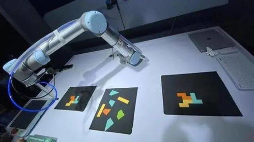 專家支招，黑科技亮相 這場展會連接武漢未來生活場景